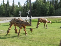 Burl sculptures at Knotty Pine Shop